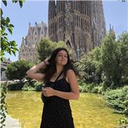 professeur anglais tout niveau